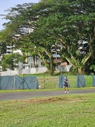 Blk 86 Commonwealth Heights (Queenstown), HDB 3 Rooms #503612391